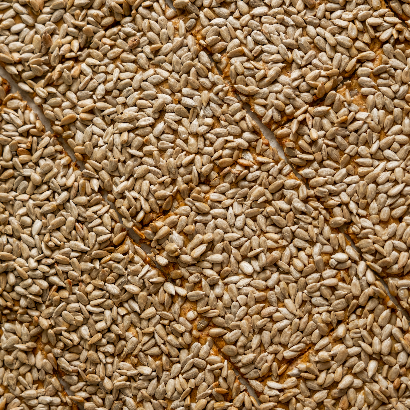 Хрустящие семена подсолнечника